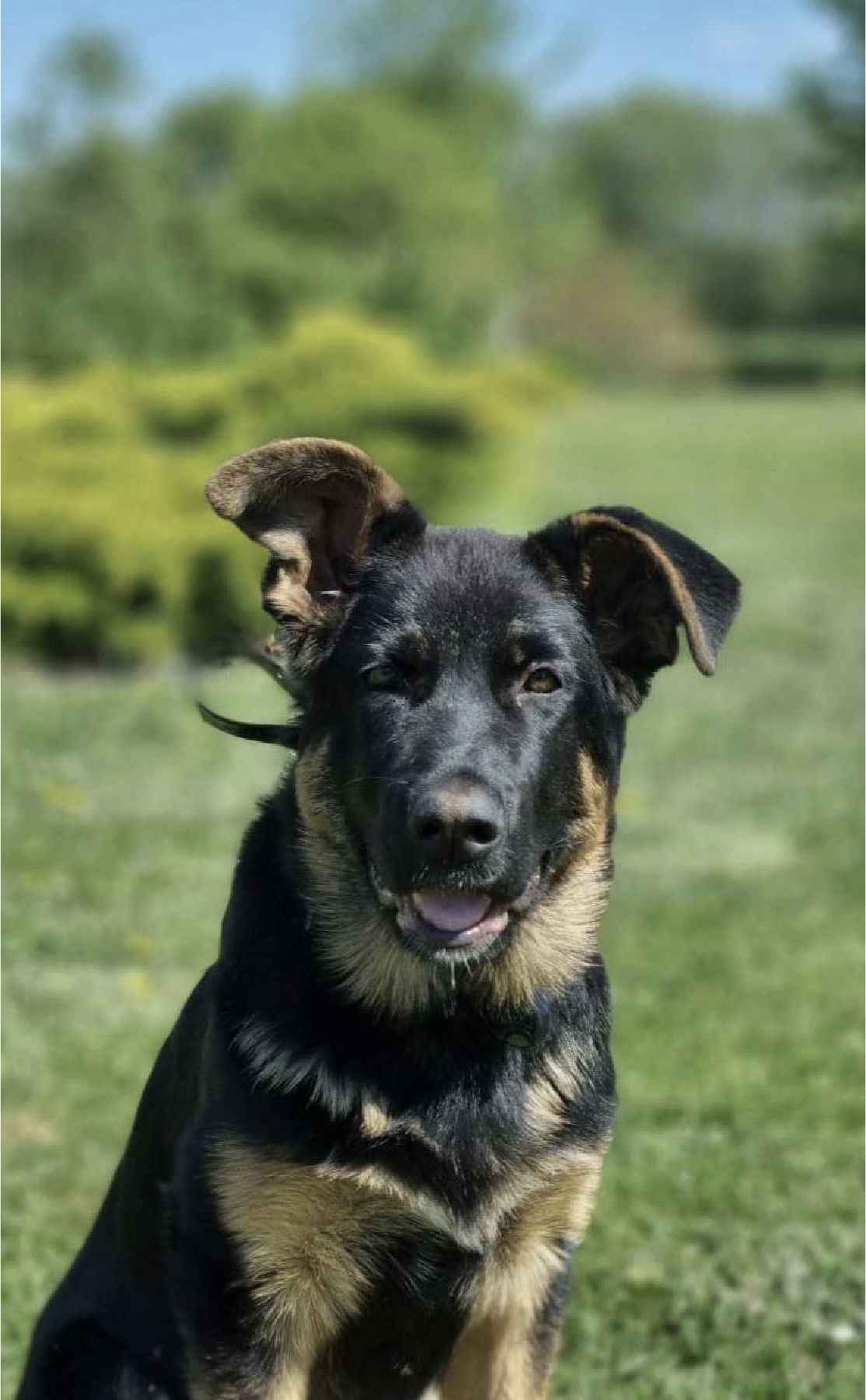 Meeskonnavaim Cooper