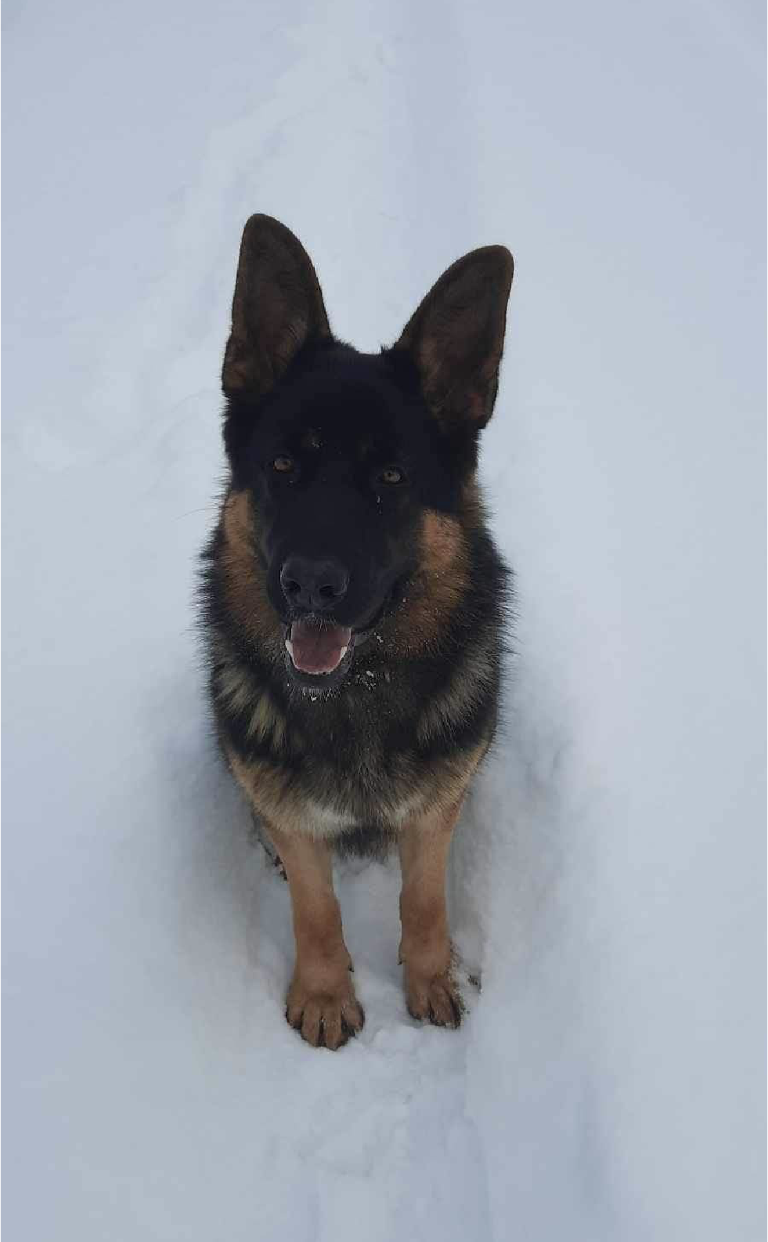 Meeskonnavaim Cooper